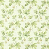 Fig Harvest Fabric - Garden Green