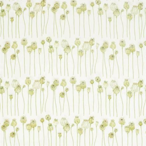 Sanderson Embleton Bay Prints & Embroideries Fabrics Poppy Pods Fabric - Olive/Almond - DEBB226431