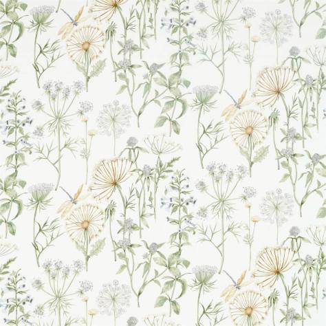 Sanderson Embleton Bay Prints & Embroideries Fabrics Wild Angelica Fabric - Silver/Spring Leaf - DEBB226437