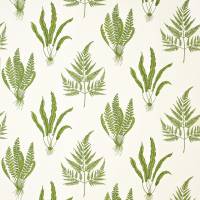 Woodland Ferns Fabric - Green