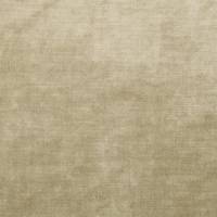 Monarch Fabric - Taupe