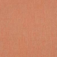 Ruskin Fabric - Papaya