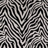 Eva Fabric - Zebra