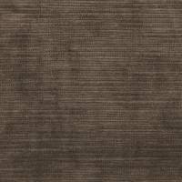Tresillo Velvet Fabric - Graphite