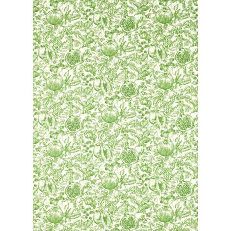 Harlequin Colour 3 Fabrics Melograno Fabric - Forest/First Light - HQN3121142