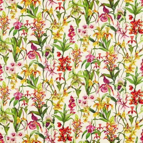 Harlequin Colour 4 Fabrics Kalina Fabric - Parchment/Forest/Azalea - HC4F121167 - Image 1