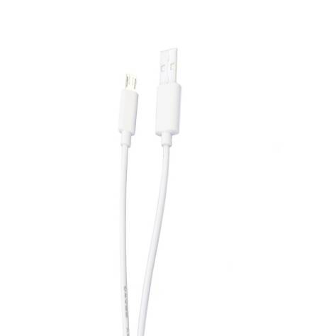 Evaglide USB-C Charging Cable - Image 1