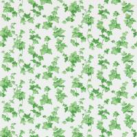 Hedera Wallpaper - Green