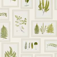 Fern Gallery Wallpaper - Ivory/Green