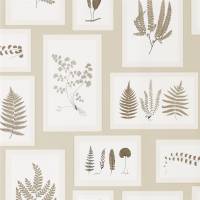 Fern Gallery Wallpaper - Linen/Sepia