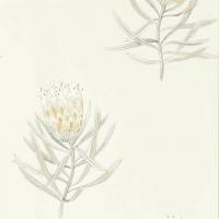 Protea Flower Wallpaper - Daffodil/Natural