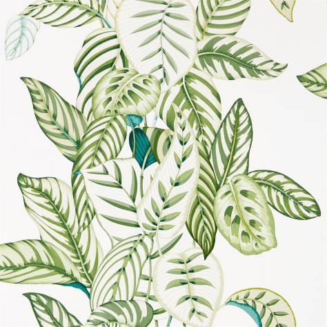 Sanderson Glasshouse Wallpapers Calathea Wallpaper - Botanical Green - DGLW216630