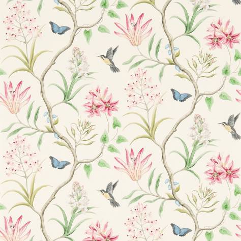 Sanderson Voyage of Discovery Wallpapers Clementine Wallpaper - Chintz - DVOY213388