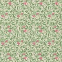 Arbutus Wallpaper - Olive/Pink