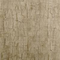 Tree Bark Wallpaper - Antique