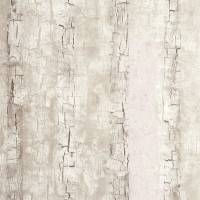 Tree Bark Wallpaper - Birch