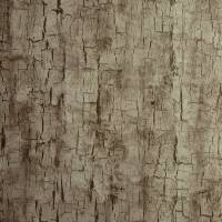 Tree Bark Wallpaper - Pewter