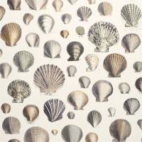 Captain Thomas Browns Shell Wallpaper - Oyster