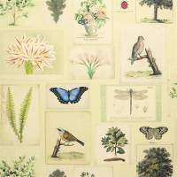 Flora and Fauna Wallpaper - Parchment