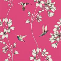 Amazilia Wallpaper - Flamingo