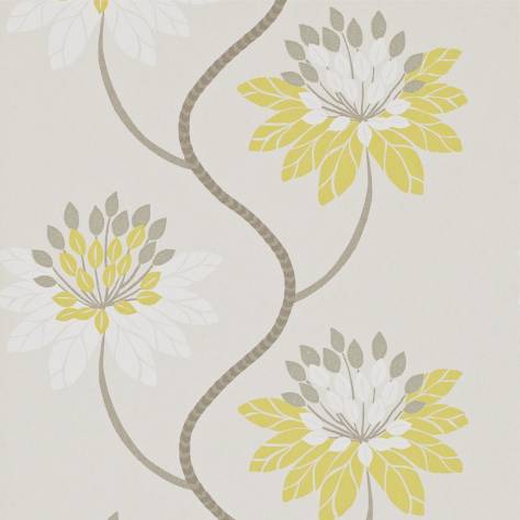 Harlequin Purity Wallpapers Eloise Wallpaper - Chartreuse/Warm Grey - HWHI111190