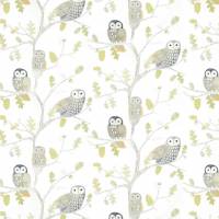 Little Owls Wallpaper - Kiwi